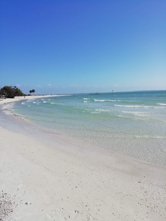 Honeymoon Island beach Turystyka Bez Granic