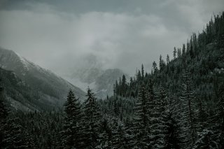 art-thumb