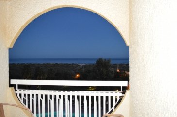 DSC_1588.JPG