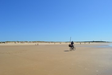 DSC_1707.JPG