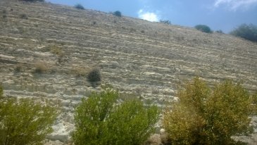 WP_20140630_025.jpg
