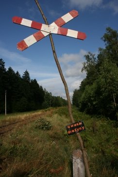 Wakacje Puszcza Bialowieska 113.jpg