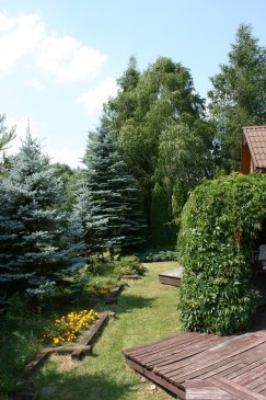 Wakacje Puszcza Bialowieska 075.jpg