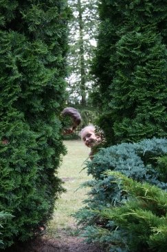 Wakacje Puszcza Bialowieska 082.jpg