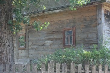 Wakacje Puszcza Bialowieska 299.jpg