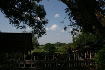 Wakacje Puszcza Bialowieska 320.jpg