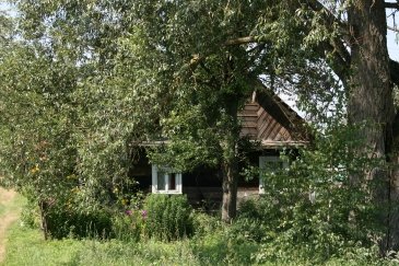 Wakacje Puszcza Bialowieska 311.jpg