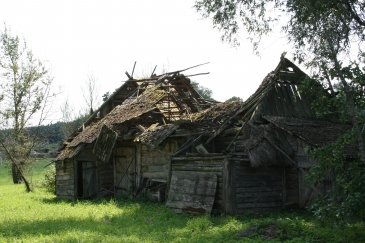 Wakacje Puszcza Bialowieska 325.jpg