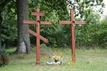 Wakacje Puszcza Bialowieska 388.jpg