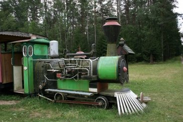Wakacje Puszcza Bialowieska 448.jpg