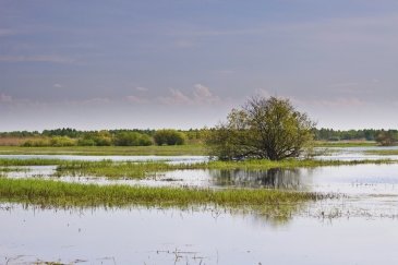 Biebrzański Park NarodowyIUM.jpg