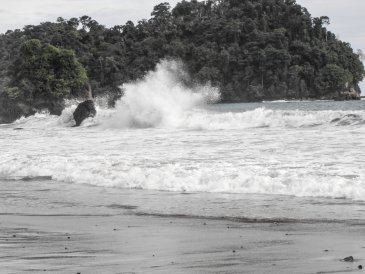 Manuel Antonio autor: Jacek Brzezowski