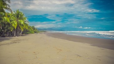 Playa Dominical autor: Jacek Brzezowski