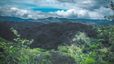 W Drodze Do Monteverde autor: Jacek Brzezowski