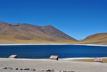 Na zdjęciu drugie jezioro – Miñiques, które na skutek erupcji wulkanu oddzieliło się od jeziora Miscanti. Tablice zawierają informację na temat żyjących tu ptaków.