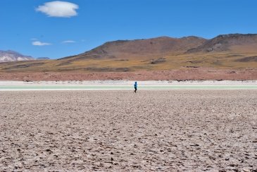 Po godzinie spacerowania wzdłuż jeziora, przy bardzo silnym wietrze, powoli zaczęła o sobie dawać znać wysokość. Trzeba było uspokoić oddech i pomyśleć o powrocie nieco niżej. Kolejnym etapem było trzecie największe na świecie solnisko Salar de Atacama.