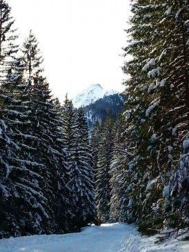 Zakopane