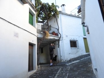 Pampaneira