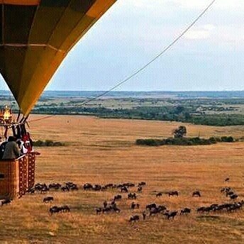 Wielka masowa migracja w Masai Mara