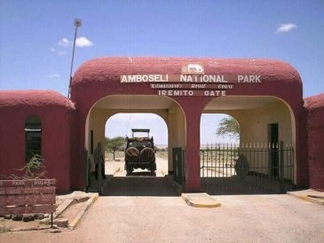 Park Narodowy Amboseli