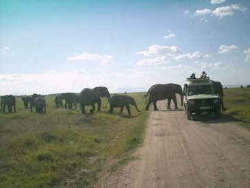 Park Narodowy Amboseli