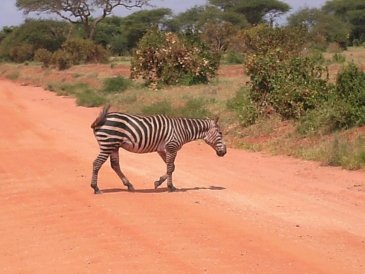 Kenia