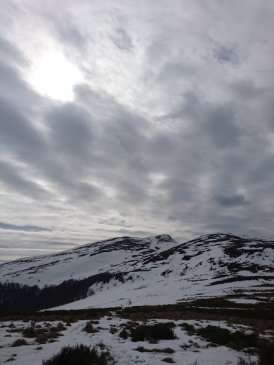 DSC_1012.JPG