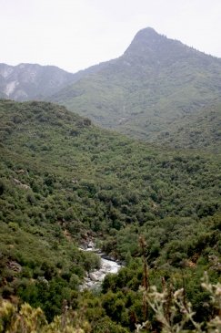 Sequoia National Park