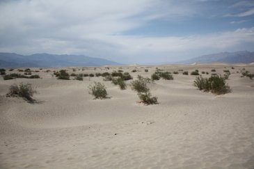 Death Valley