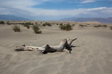 Death Valley