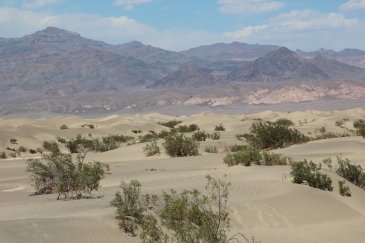 Death Valley