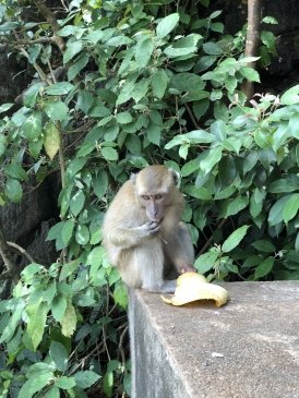 Tiger Cave Temple