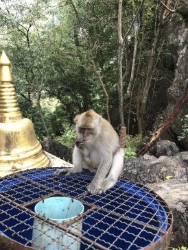 Tiger Cave Temple