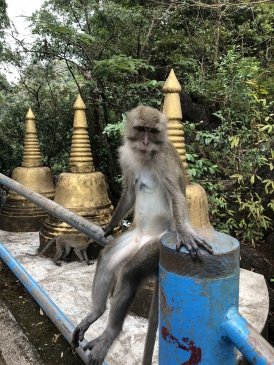 Tiger Cave Temple