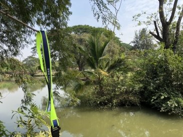 Ayutthaya