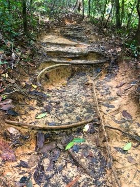 Khao Ngon Nak Nature Trail