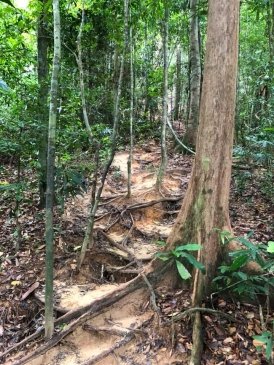 Khao Ngon Nak Nature Trail