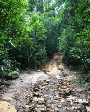 Khao Ngon Nak Nature Trail