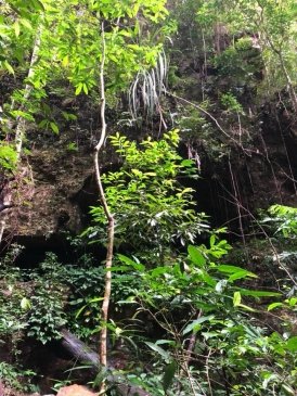 Khao Ngon Nak Nature Trail