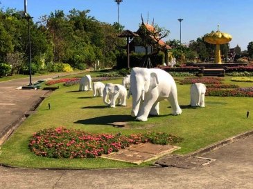 Royal Flora Ratchaphruek