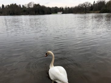 Virginia Water Lake