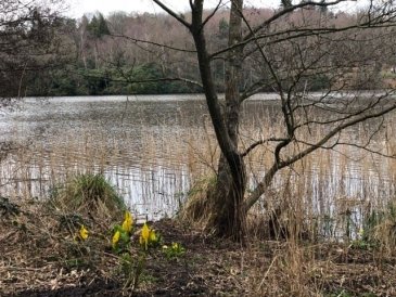 Virginia Water Lake