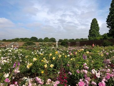 Hampton Court  Palace