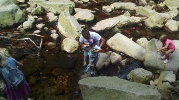 20180617_142825.jpg