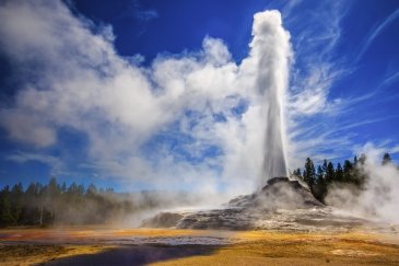 Yellowstone Usa