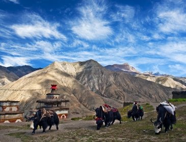 Nepal