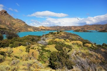 Lago Pehoe Chile