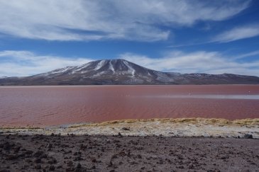 Jezioro Laguna Colorada Boliwia