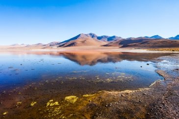 Jezioro Laguna Colorada Boliwia