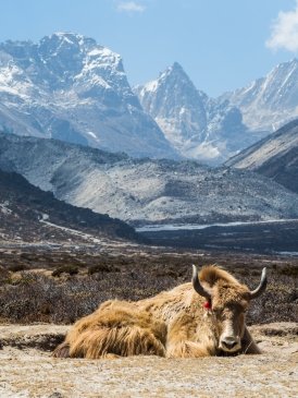 Nepal